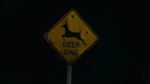 Backdrop to the movie "Juror #2" #780519