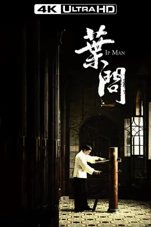 Poster to the movie "Ip Man" #132524