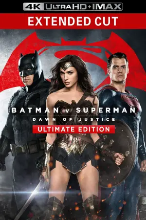 Poster to the movie "Batman v Superman: Dawn of Justice" #566162