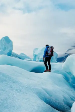 Poster to the movie "THE MENTAL" #197274