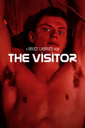 Poster to the movie "The Visitor" #756938