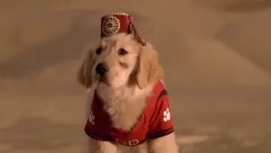 Backdrop to the movie "Treasure Buddies" #462309