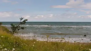 Backdrop to the movie "Afire" #757524