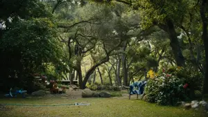 Backdrop to the movie "Beautiful Boy" #693608