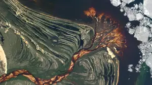 Backdrop to the movie "2024: The Year From Space" #656120