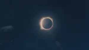 Backdrop to the movie "Apocalypto" #579785