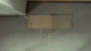 Backdrop to the movie "Madame Favre