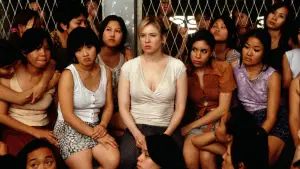 Backdrop to the movie "Bridget Jones: The Edge of Reason" #886504