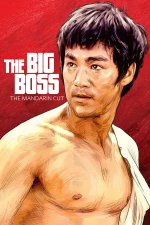 Poster to the movie "The Big Boss" #726745