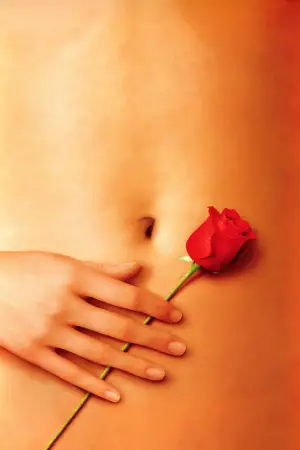 Poster to the movie "American Beauty" #615129