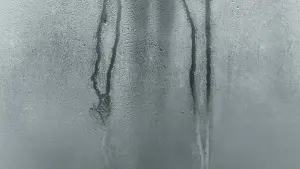 Backdrop to the movie "Slender Man" #323565