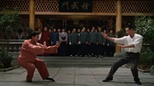 Backdrop to the movie "Fist of Legend" #793331