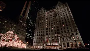 Backdrop to the movie "Home Alone 2: Lost in New York" #567413