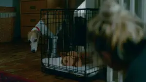 Backdrop to the movie "The Heirloom" #788806