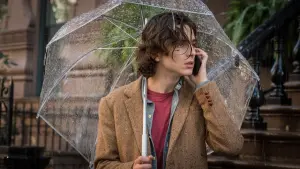 Backdrop to the movie "A Rainy Day in New York" #371889