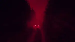 Backdrop to the movie "Mandy" #812359