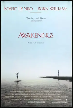 Poster to the movie "Awakenings" #100574