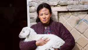 Backdrop to the movie "Wrath of Silence" #436417