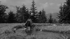 Backdrop to the movie "The Sound of Music" #599599