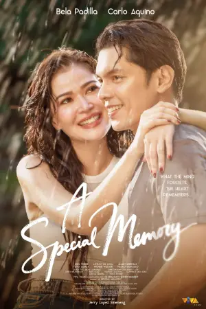 Poster to the movie "A Special Memory" #767127