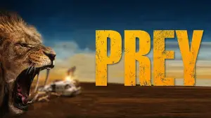 Backdrop to the movie "Prey" #660557