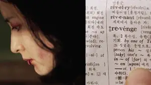 Backdrop to the movie "Lady Vengeance" #674048