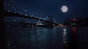 Backdrop to the movie "Moonstruck" #505351