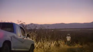 Backdrop to the movie "Jaripeo" #785169