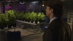 Backdrop to the movie "The Gentlemen" #762218