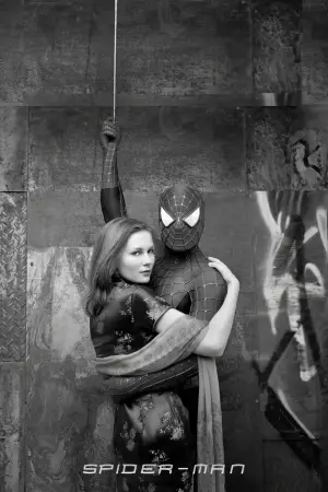 Poster to the movie "Spider-Man" #910666