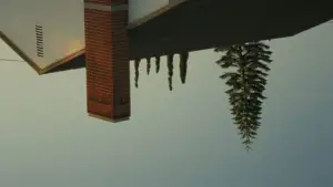 Backdrop to the movie "Domestic Demon" #561196