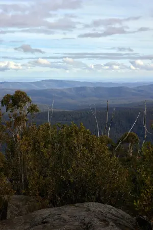 Poster to the movie "Force of Nature: The Dry 2" #430504