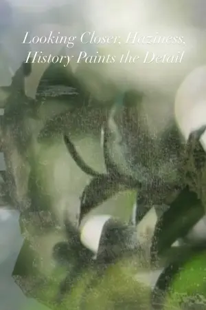 Looking Closer, Haziness, History Paints the Detail