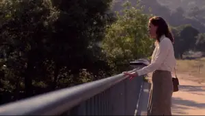 Backdrop to the movie "Secretary" #718496