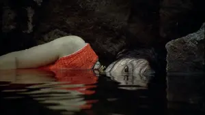 Backdrop to the movie "Sympathy for Mr. Vengeance" #213167