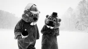 Backdrop to the movie "Hundreds of Beavers" #756229