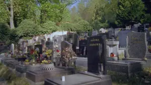 Backdrop to the movie "Come Closer" #729975