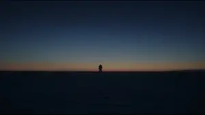 Backdrop to the movie "Frankenstein" #513490