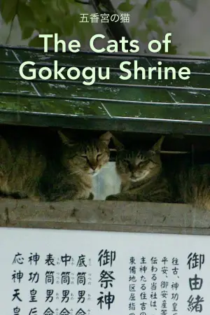 Poster to the movie "The Cats of Gokogu Shrine" #757958