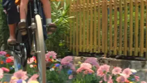 Backdrop to the movie "Na Willa" #763662