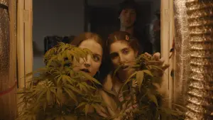 Backdrop to the movie "Verano Trippin" #698066