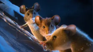 Backdrop to the movie "A Mouse Hunt for Christmas" #556107