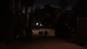 Backdrop to the movie "The Bling Ring" #873464