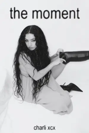 Poster to the movie "The Moment" #516786