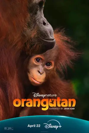 Poster to the movie "Orangutan" #798702
