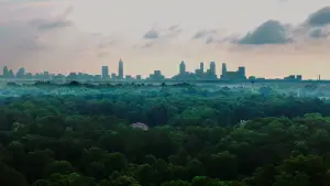 Backdrop to the movie "The Tree Economy" #775517