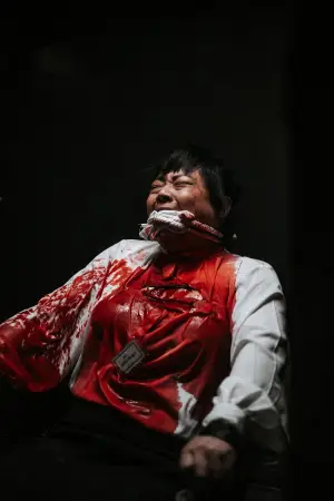 Poster to the movie "Wrongful Death" #790440