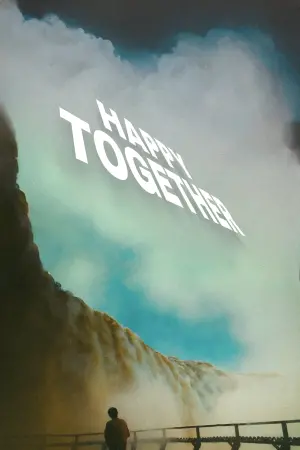 Poster to the movie "Happy Together" #206360