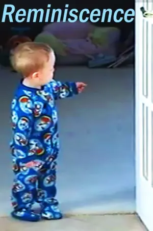 Poster to the movie "Reminiscence" #424022