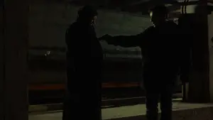 Backdrop to the movie "Three Colors: White" #705506